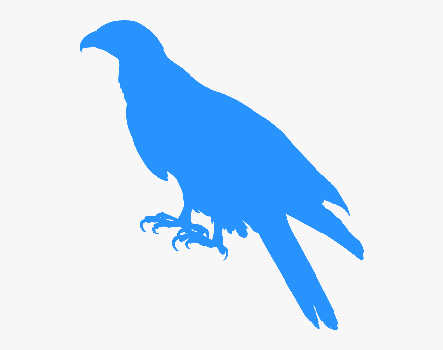 Silueta De Un Gavilan, Transparent Clipart
