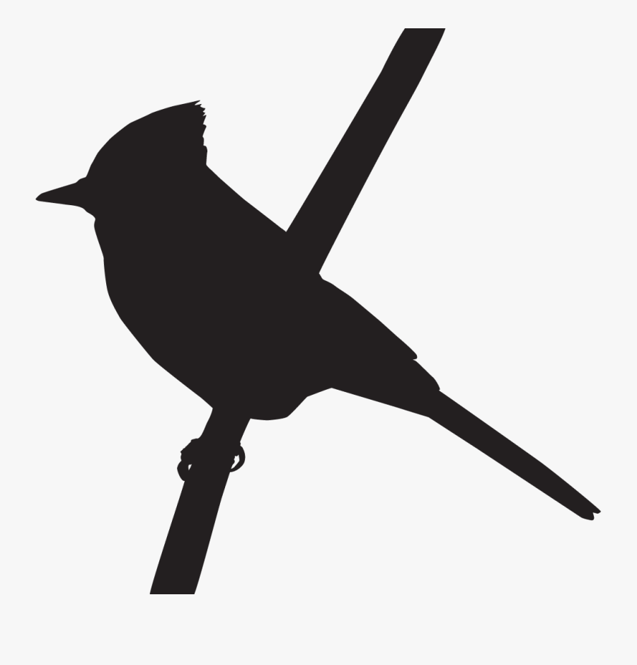 Clipart Park Birds - Silhouette Of A Blue Jay, Transparent Clipart