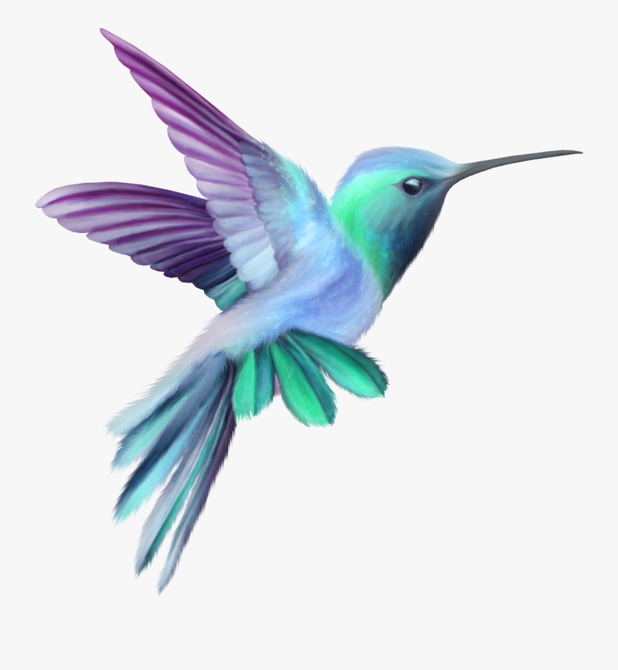 Hummingbird Transparent Clip Art Imageu200b Gallery - Pink And Purple Hummingbird, Transparent Clipart