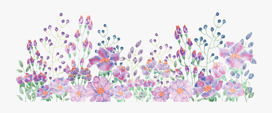Watercolor Painting Floral Design - Watercolor Flower Line Png, Transparent Clipart