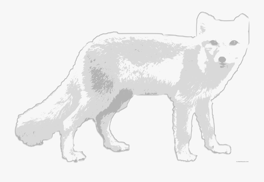 Arctic Fox Clipart Running - Arctic Wolf Clipart, Transparent Clipart