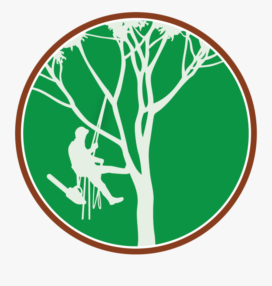 Paul The Tree Climber - Tree Climbing Arborist Logo, Transparent Clipart