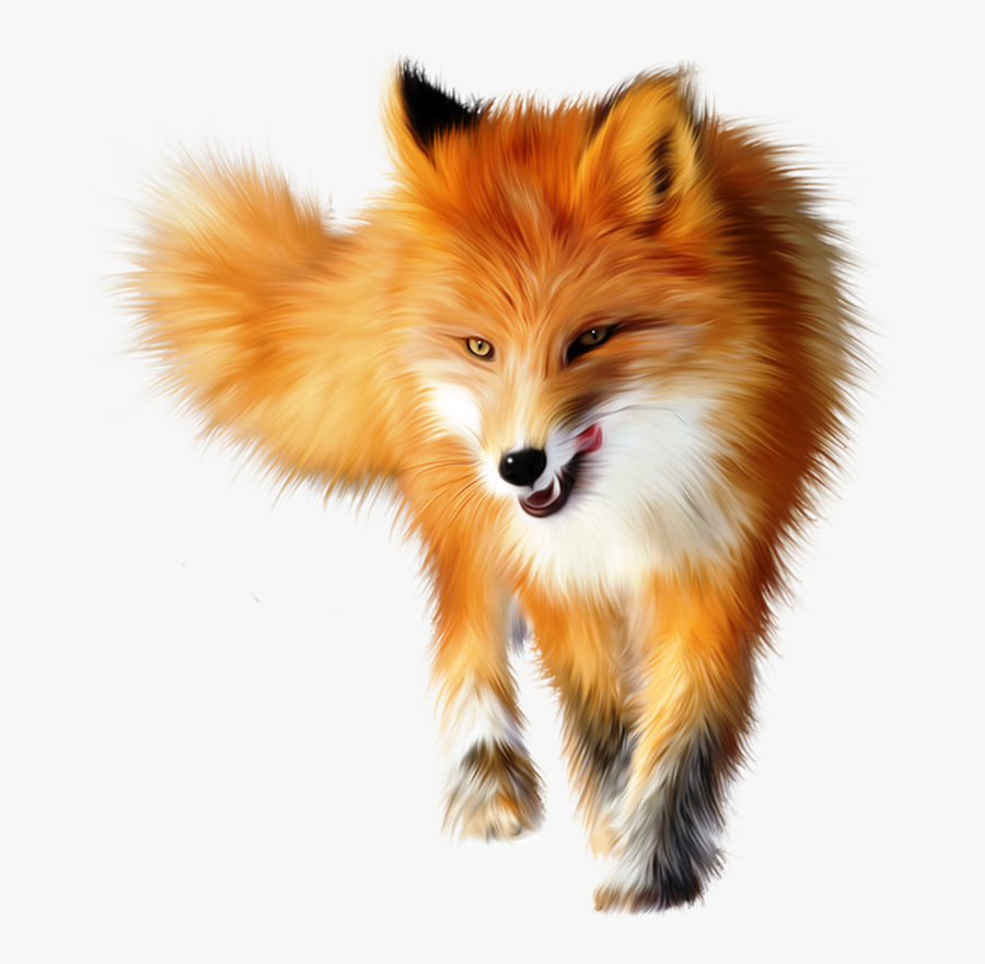 Transparent Cute Fox Png - Fox Png, Transparent Clipart