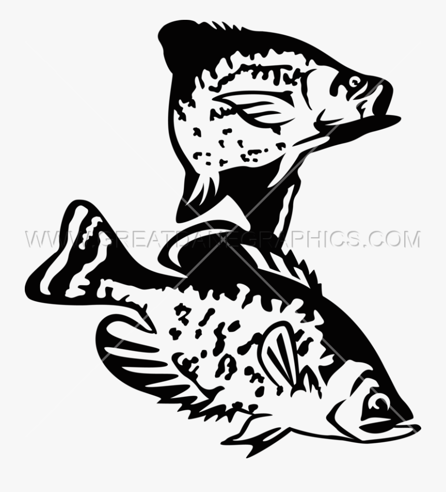 Crappie Drawing At Getdrawings Free Transparent Clipart ClipartKey