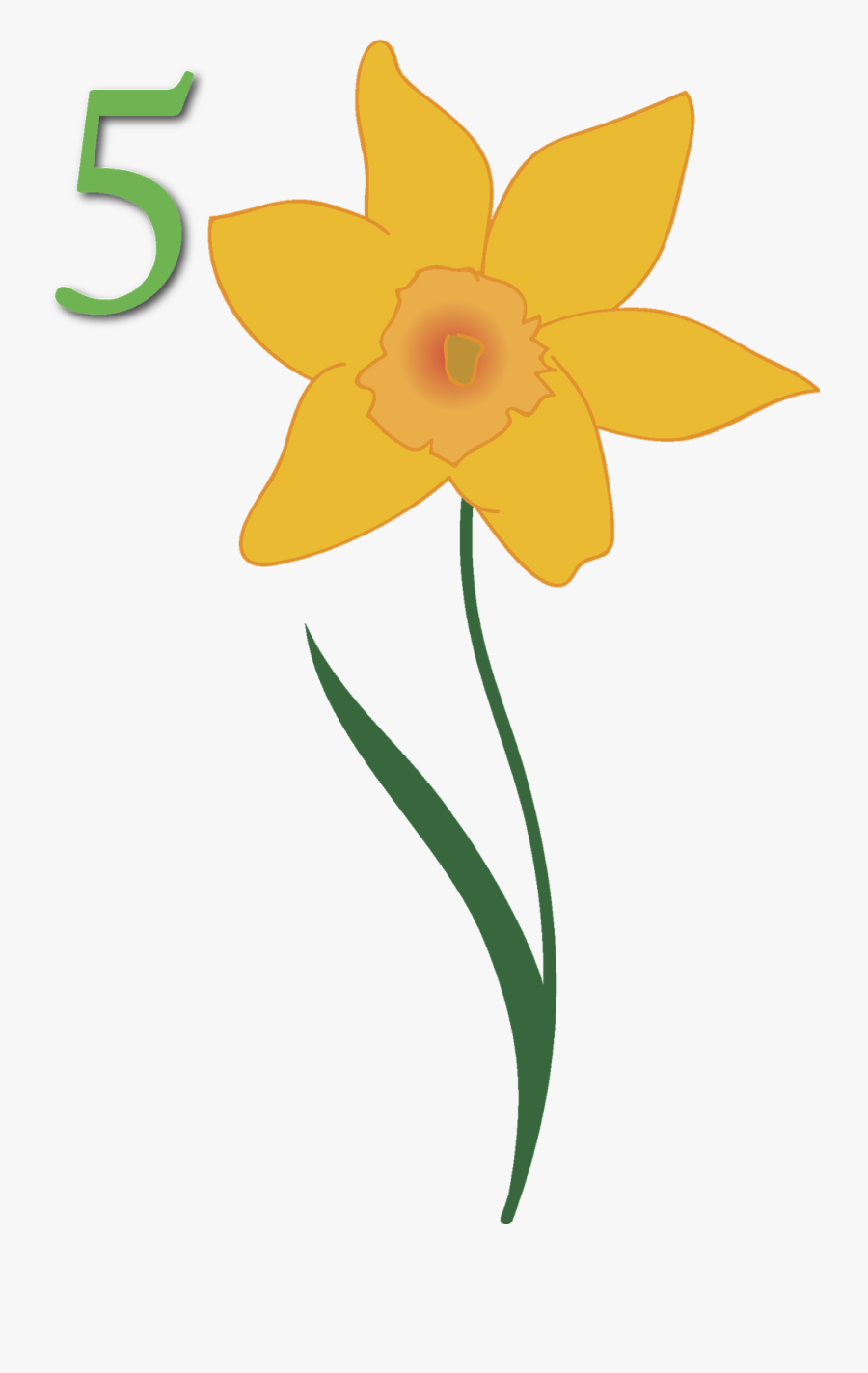 Our Pto Arranged For This Room Sized Map Of North America - Narcissus, Transparent Clipart