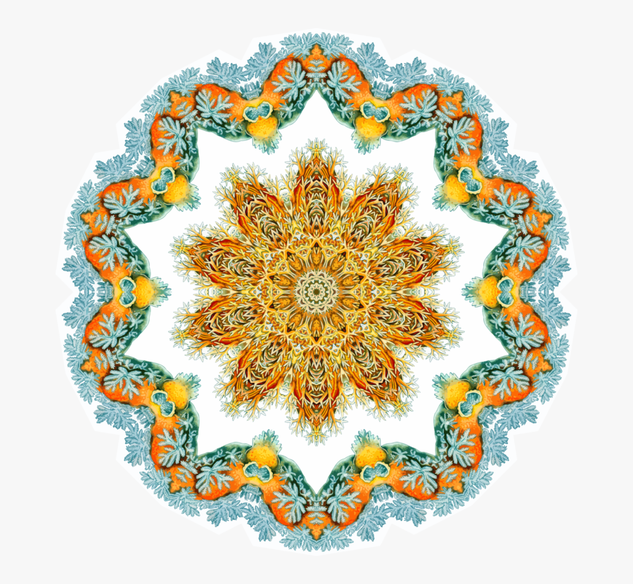 Visual Arts,paisley,motif - Lace, Transparent Clipart