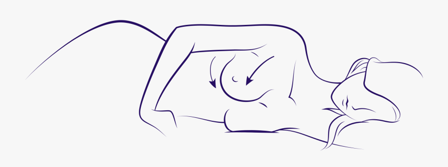 Banner Free Library Tits For Free - Remove Bra While Sleeping, Transparent Clipart