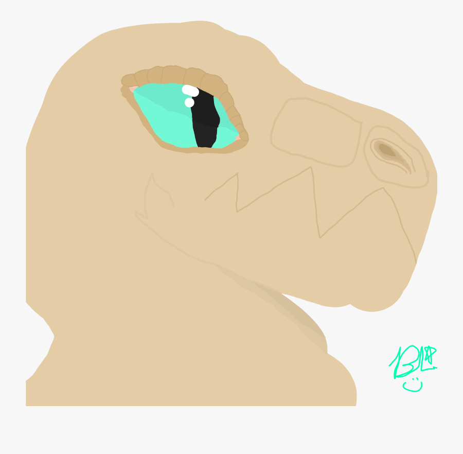 Rex Base, Transparent Clipart