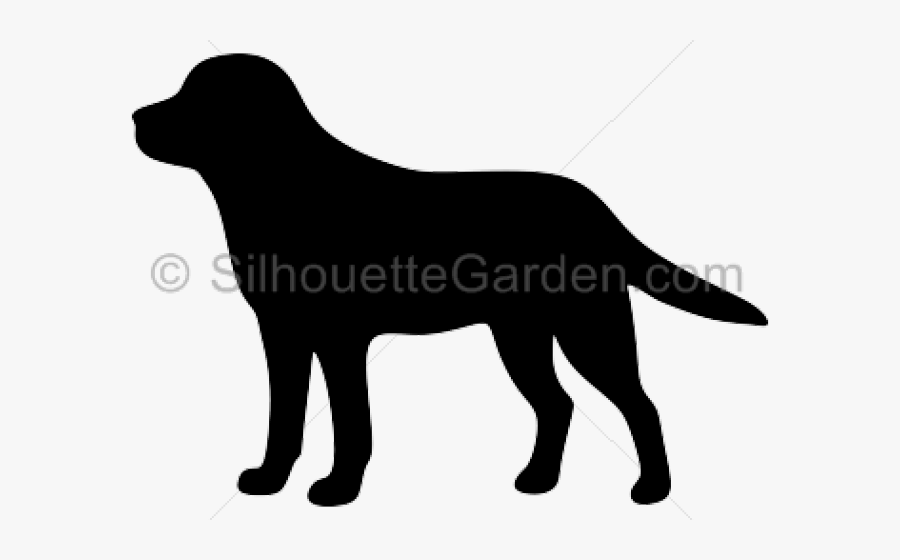 Transparent Labrador Retriever Clipart - Cricut Labrador Silhouette, Transparent Clipart