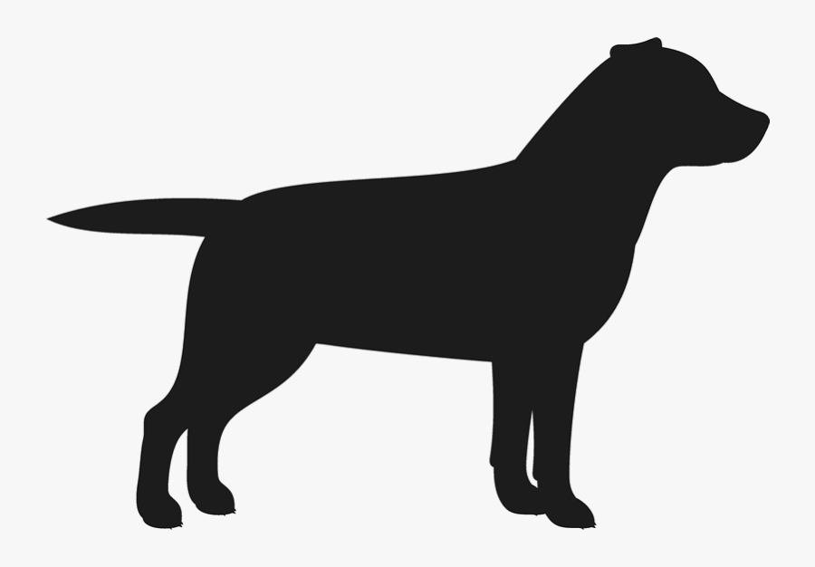 Transparent Labrador Png - Labrador Reteiever Silhouette, Transparent Clipart