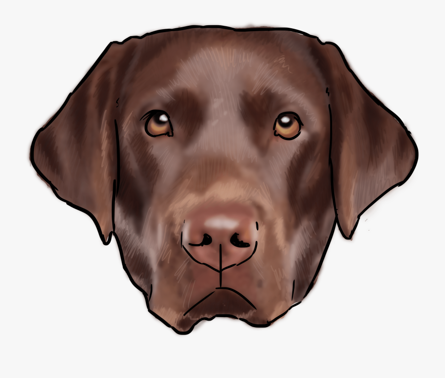 Labrador Png Image - Transparent Puppy Labrador Retriever Png, Transparent Clipart