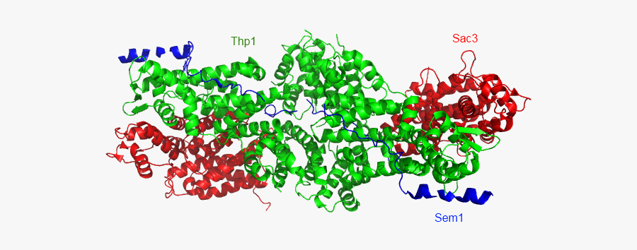 Illustration, Transparent Clipart