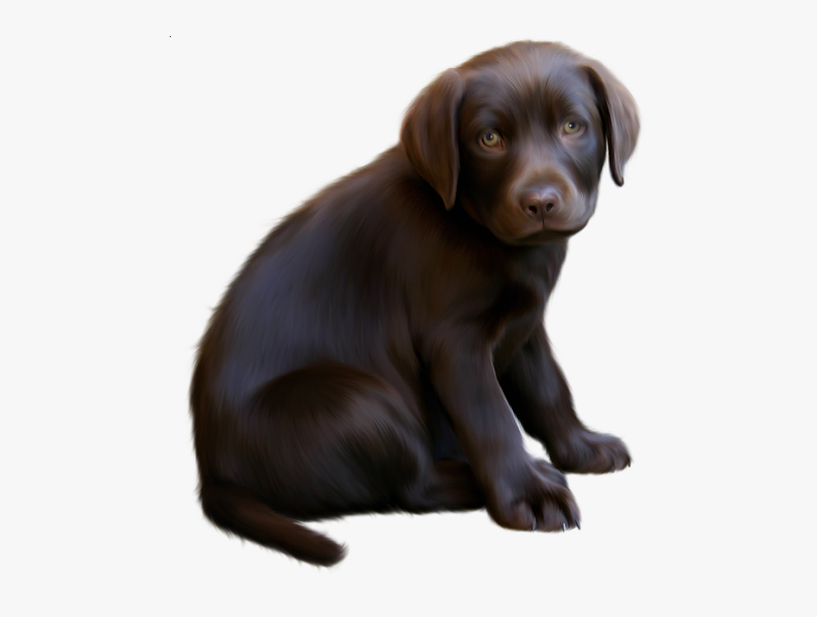 Brown Dog Png, Transparent Clipart