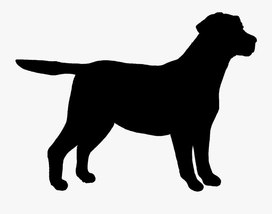 Labrador Retriever Outline - Black Outline Of Dog , Free Transparent