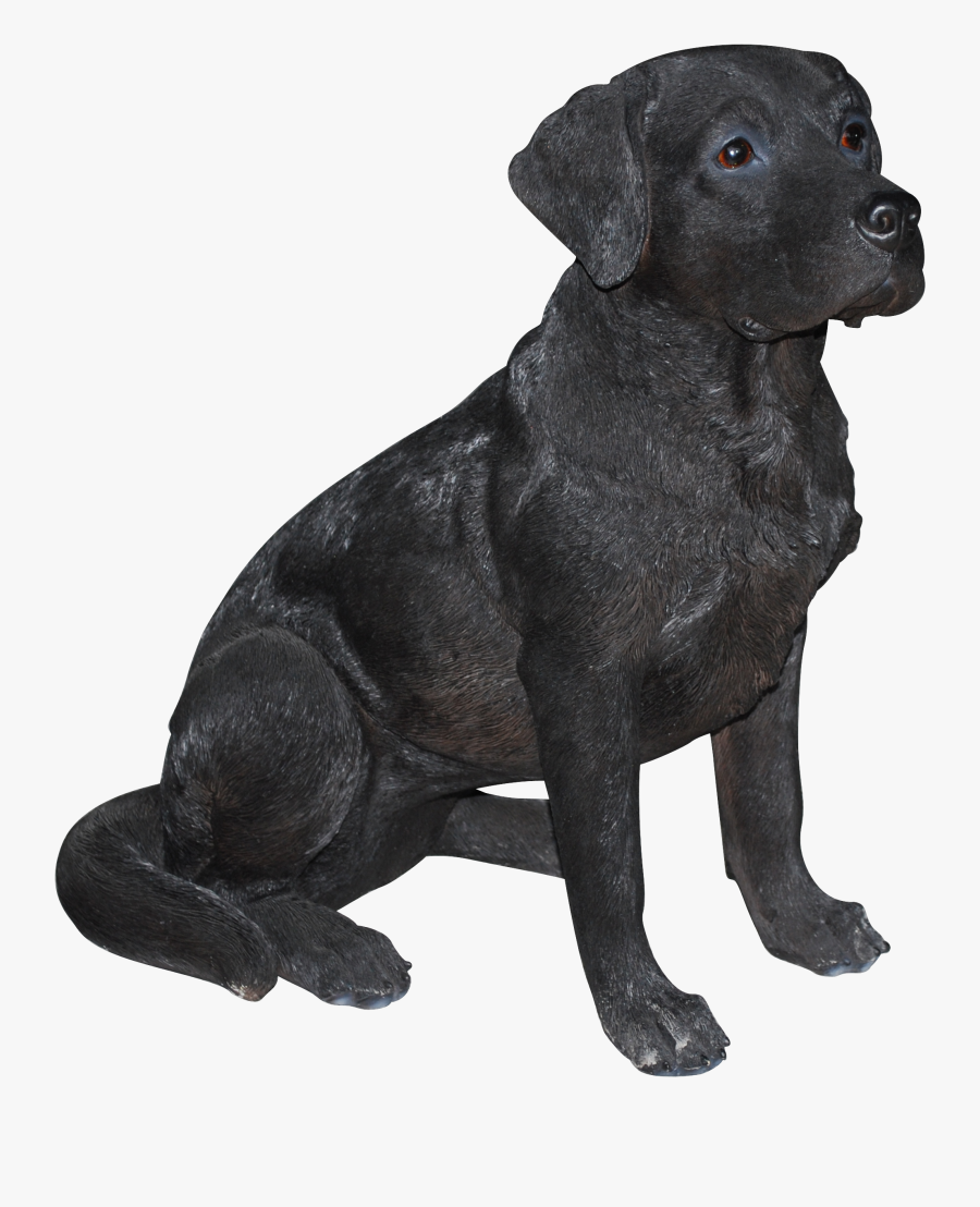Download Labrador Real Life - Black Labrador Clip Art, Transparent Clipart