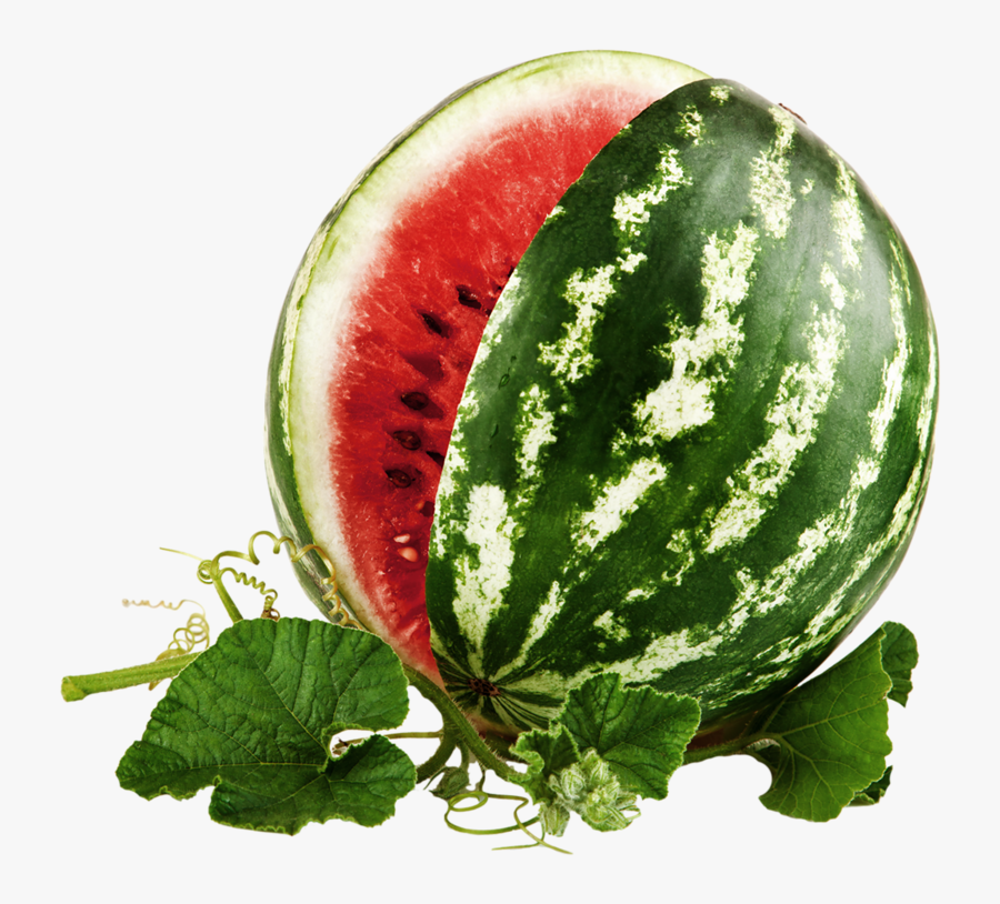 Citrullus Lanatus Png, Transparent Clipart