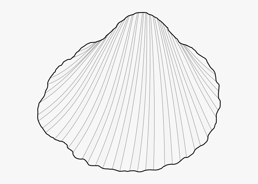 Free Clip Art "cerastoderma Glaucum - Circle, Transparent Clipart