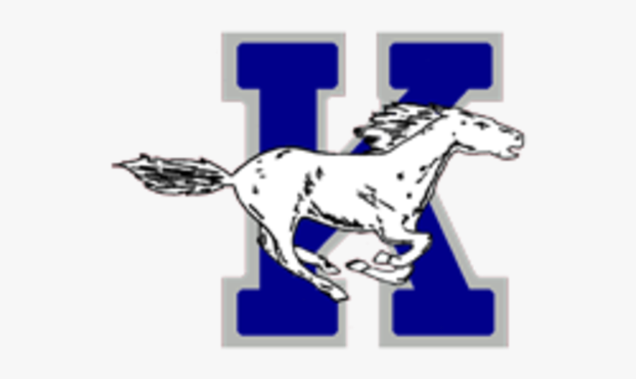 Stallion, Transparent Clipart