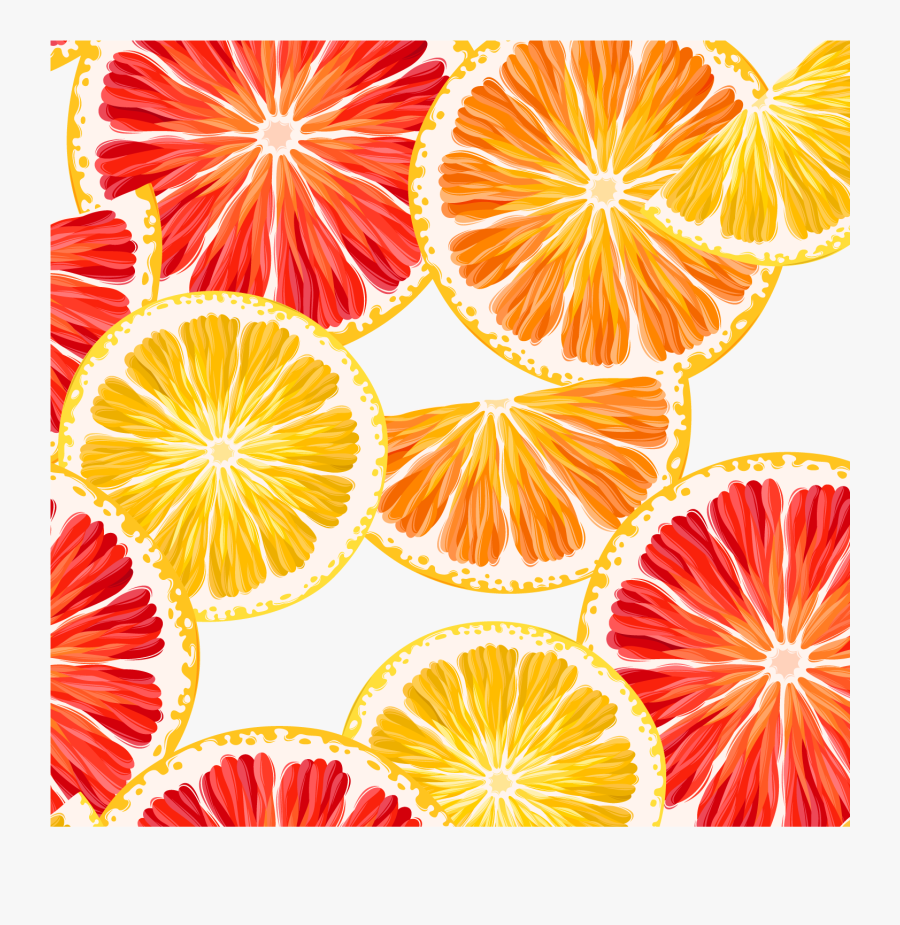 Grapefruit, Lemon Clipart, Orange, Lemon Slice, Vector - Grapefruit Background, Transparent Clipart