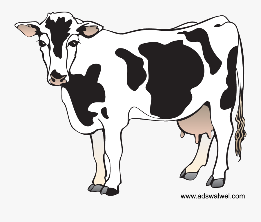 Cow Clipart, Transparent Clipart