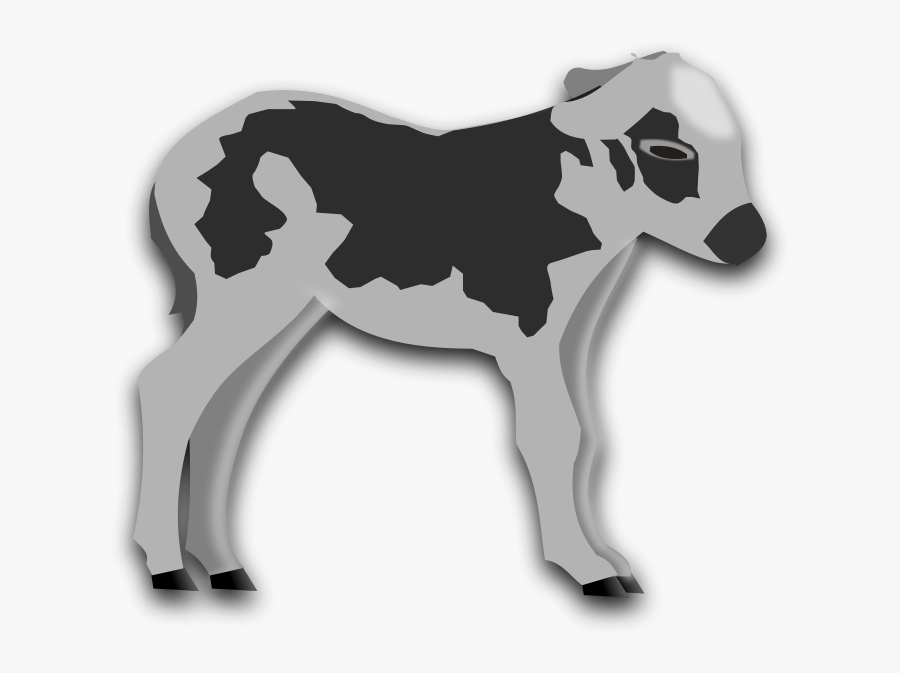 Calf - Calf Clip Art, Transparent Clipart