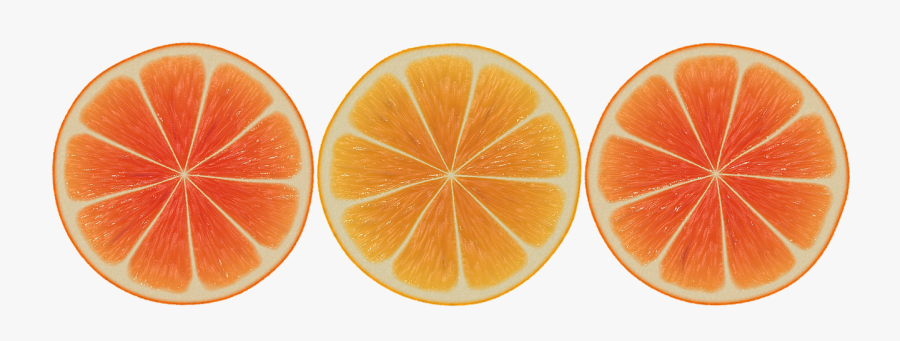 Transparent Orange Slice Clipart Black And White - Half Cut Orange, Transparent Clipart