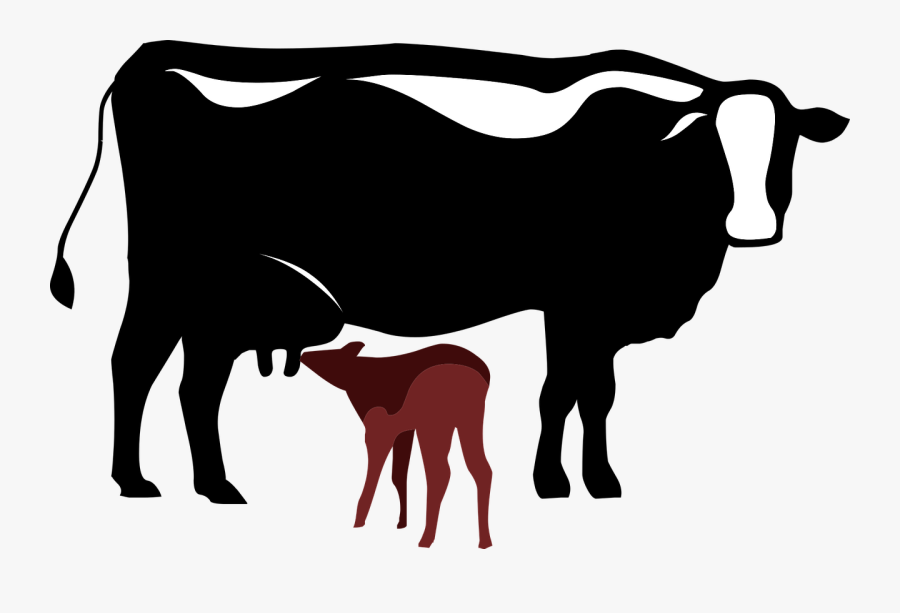 Dairy Cattle Calf Vector Graphics Clip Art - Cow And Calf Icon, Transparent Clipart