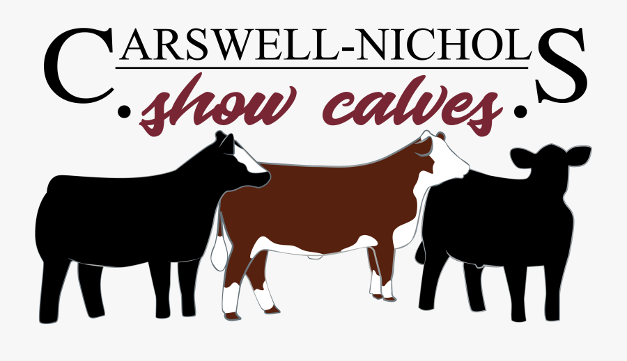 Transparent Calf Clipart - T Shirt, Transparent Clipart