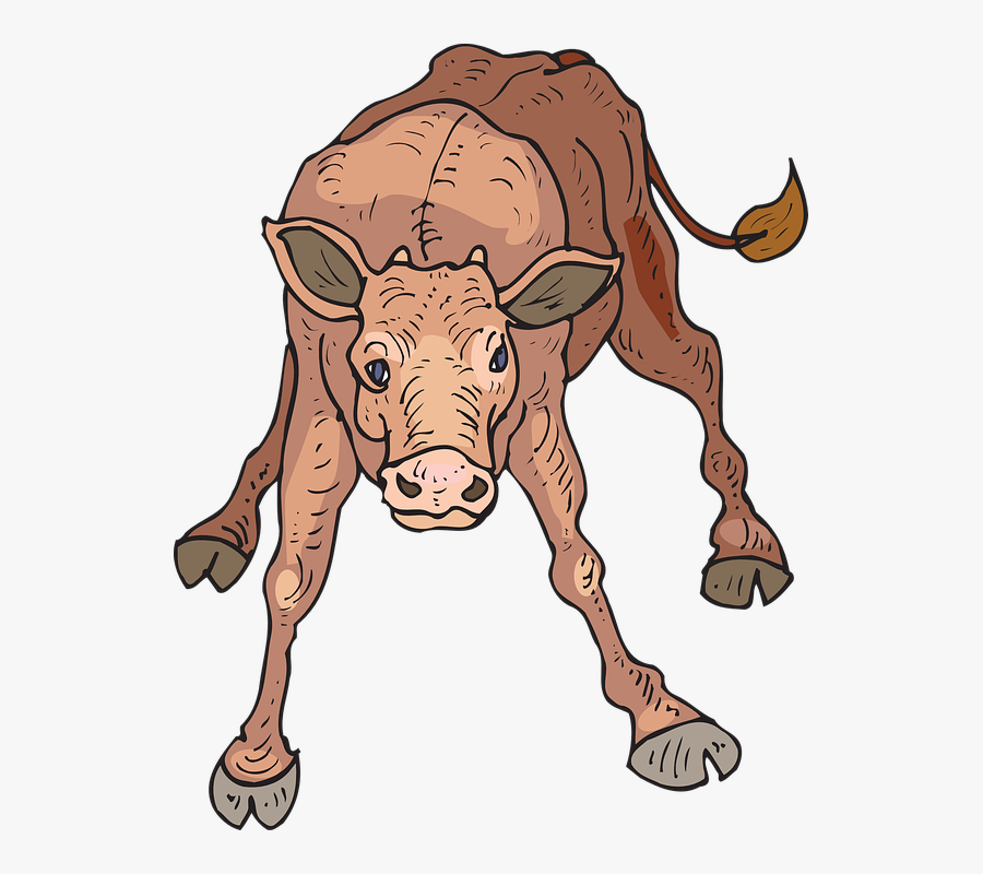 Cartoon Cow, Transparent Clipart