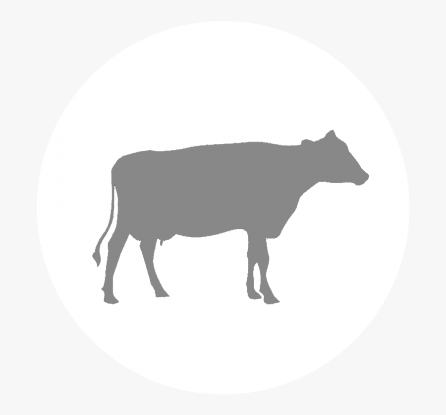 Dairy Cattle Calf Vector Graphics Clip Art - Icon Sapi, Transparent Clipart