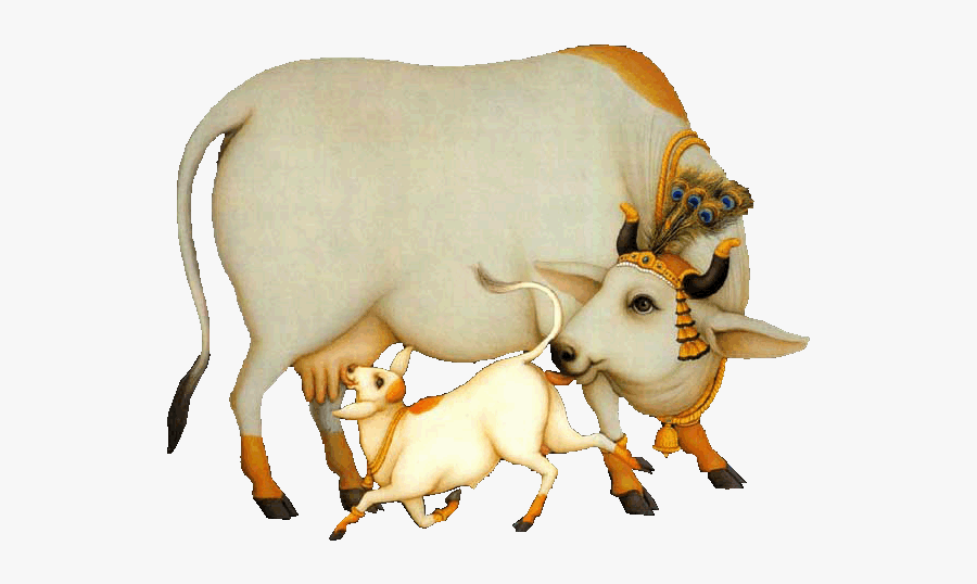 Cow And Calf Clipart - Indian Cow With Calf Png, Transparent Clipart