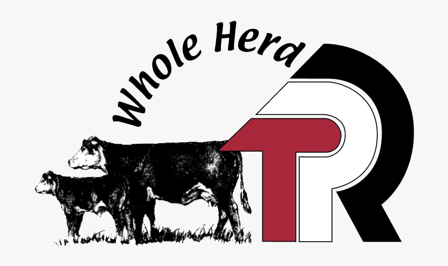 Dairy Cow, Transparent Clipart