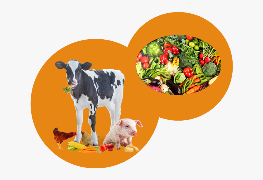 Crops And Livestock Clipart, Transparent Clipart