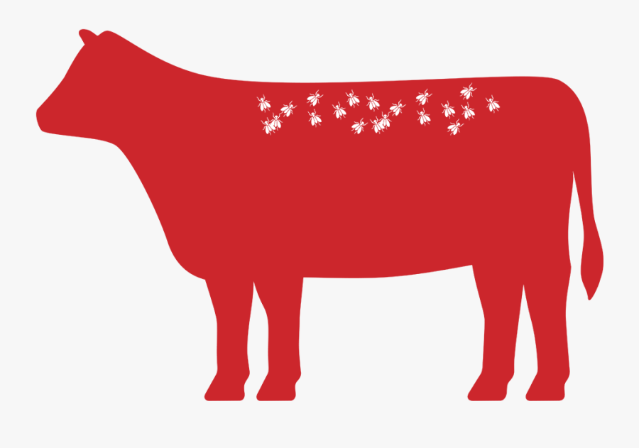 Image - Bull, Transparent Clipart