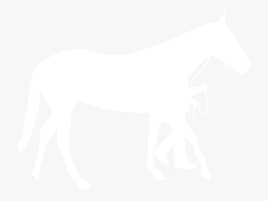 Pin Show Steer Clip Art - Livestock Show, Transparent Clipart