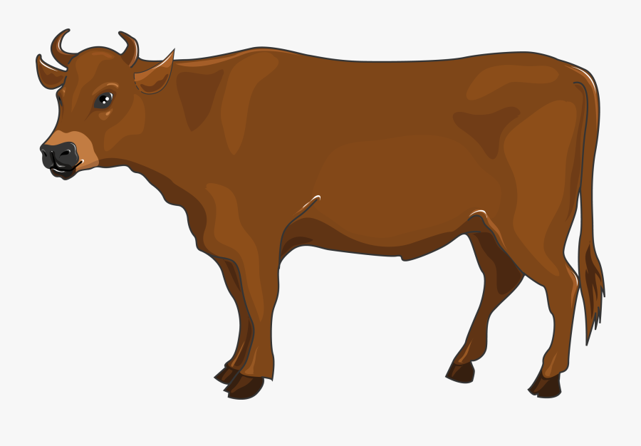 Bovine,mammal,clip Art,dairy Cow,animal Family,ox,terrestrial - Boeuf Clipart, Transparent Clipart
