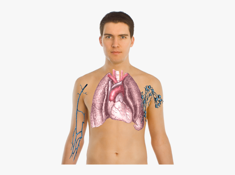 Brown Sugar Drug Price In India, Transparent Clipart