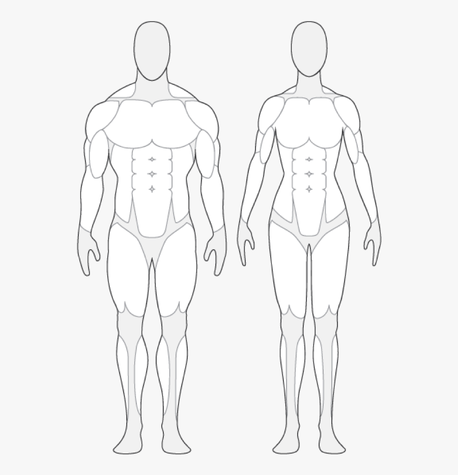 Transparent Human Body Clipart For Kids - Over Weight Human Body, Transparent Clipart