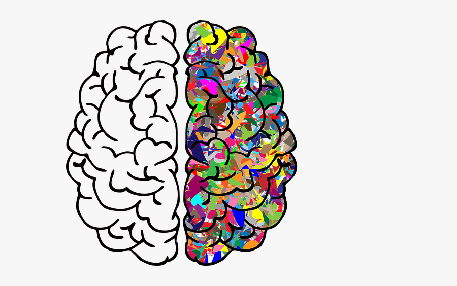 Brain, Mind, A, I, Ai, Anatomy, Artificial Intelligence - Left And Right Brain Png, Transparent Clipart