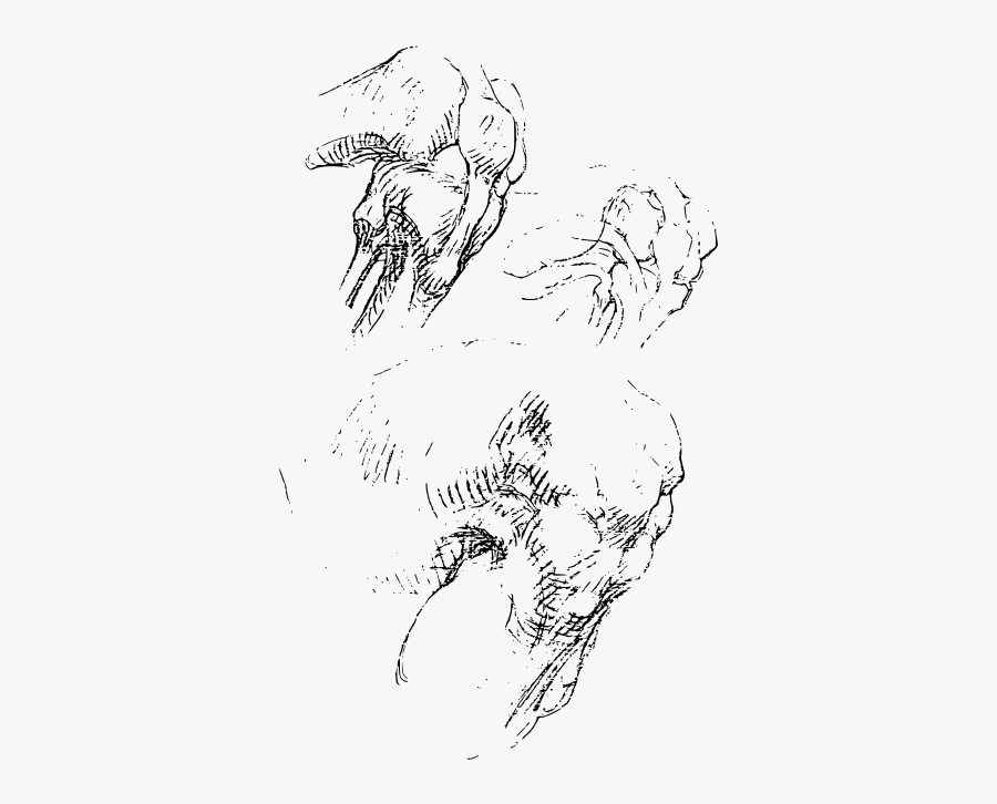 Constructive Anatomy Drawing Book 197 - Drawing Anatomy Knee, Transparent Clipart