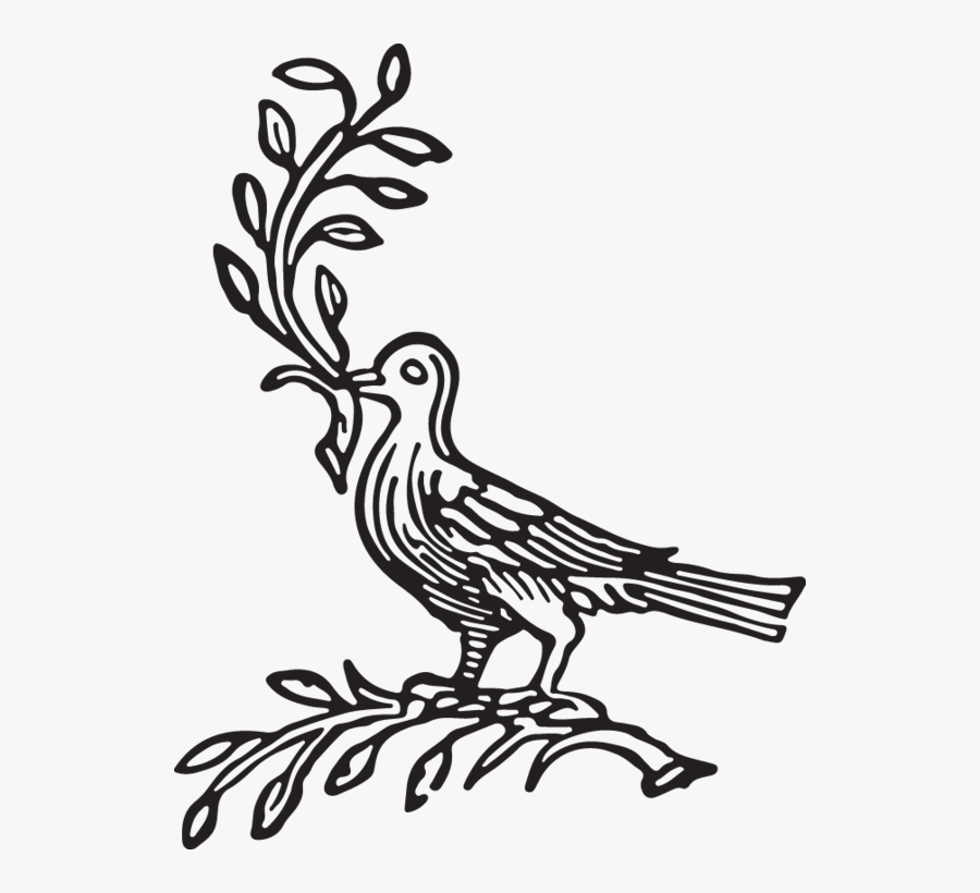 Illustration, Transparent Clipart