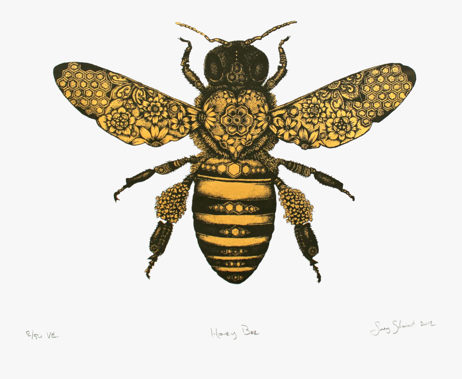 Bee Honeybee Vintage Honey Clipart Clipartfest Transparent - Bee Drawing, Transparent Clipart