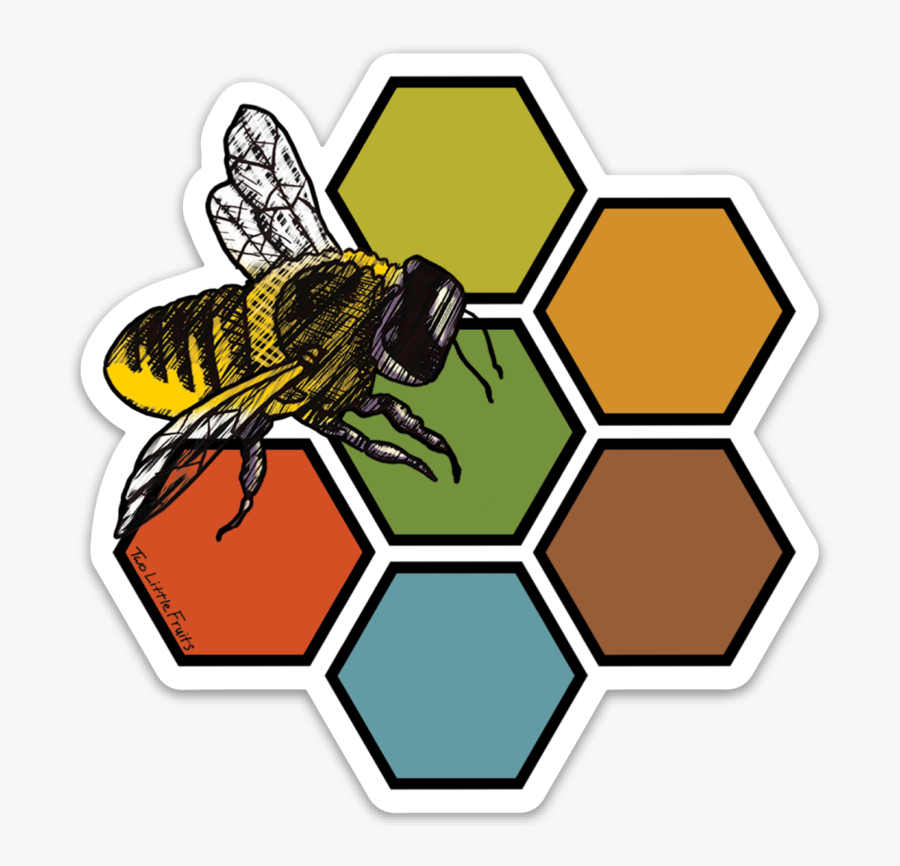 Clip Art Large And Honeycomb Decal - Ibm Enterprise Design Thinking, Transparent Clipart