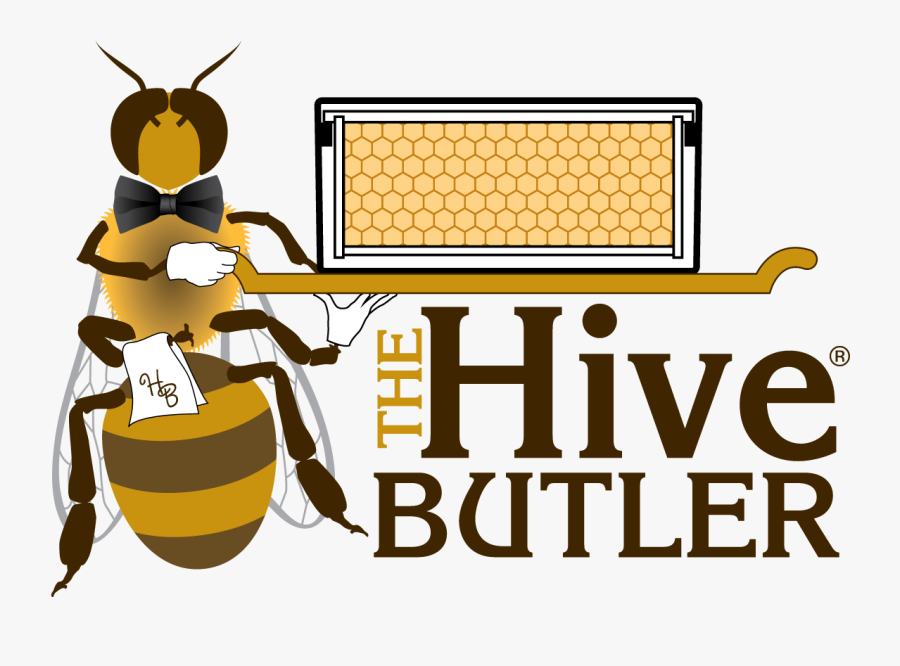 Bee Hive Clipart June - Strayer University, Transparent Clipart