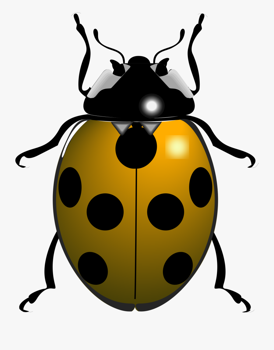 Black And White Ladybug, Transparent Clipart