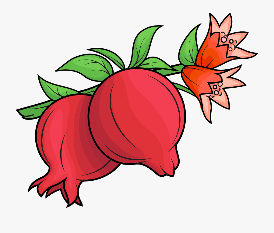Pomegranate Clipart, Transparent Clipart
