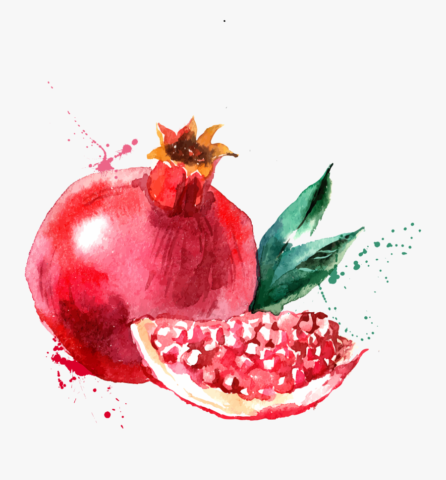 Clip Art Collection Of Free Drawing - Pomegranate Watercolor, Transparent Clipart