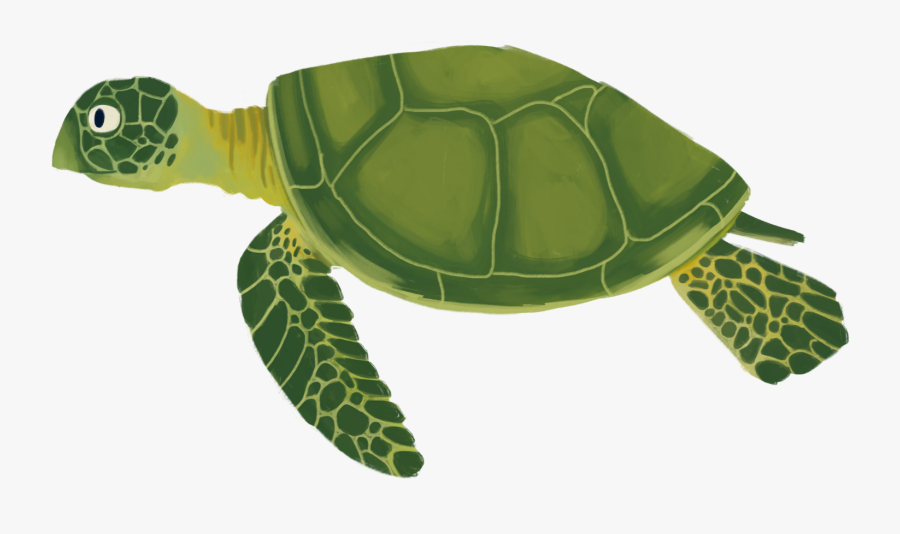 Transparent Sea Turtle Clipart Images - Cartoon Sea Turtle Transparent, Transparent Clipart