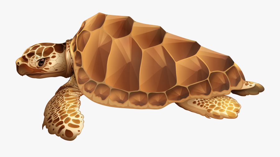 Sea Turtle Png Clip Art Image - Sea Turtle Underwater Clipart, Transparent Clipart