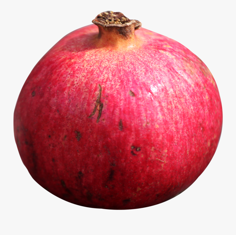 Portable Network Graphics, Transparent Clipart